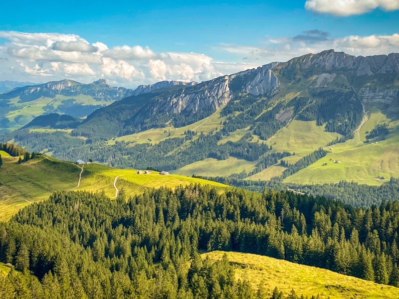 Umzug Uri, umzüge uri, zügeln uri, umzug arnold uri, e umzug uri, umzug altdorf uri, hostettler umzug muri bei bern, umzug uri, umzug urdorf, umzug urdorf fasnacht, umzug muri ag fasnacht, umzug muri ag, arnold umzüge uri, umzüge basilisk, umzüge baden, umzüge basel, umzüge uznach, zügelunternehmen uri